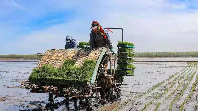 新中国第一代女拖拉机手：当初开荒时，狼就跟在后面捡老鼠吃