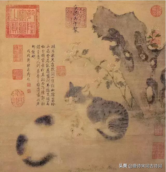 古人笔下“喵星人”