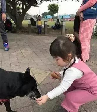 小女孩街上遇到一只流浪狗，她的反应是：妈妈帮我们拍合照