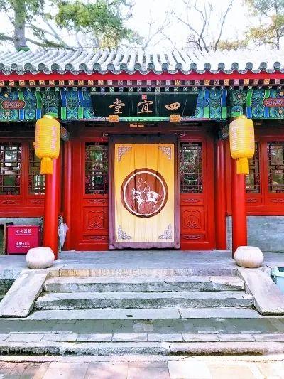 涨姿势 | 玉兰为何被称为“望春花”？北京最老的玉兰树在哪里？