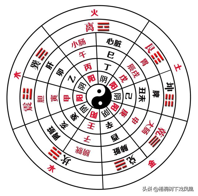 天干地支22个字咋来的？专家从甲骨文中全部识出，但字形变化太大