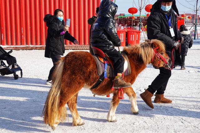 吉林首家沉浸式冰雪度假区知北村，无门票年味足，游客：太好玩了