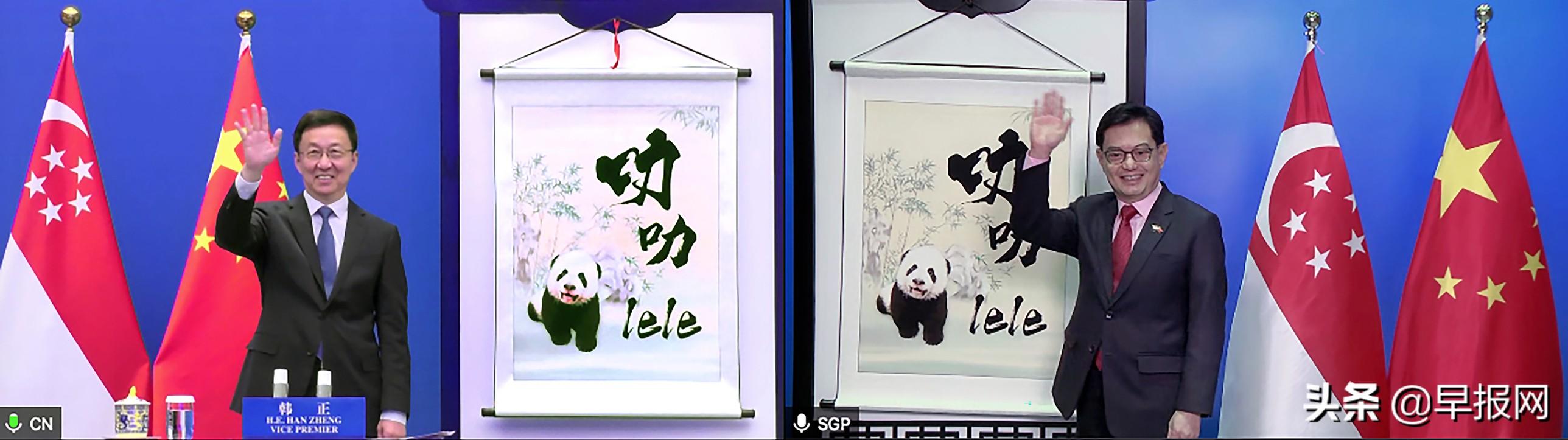 新加坡大熊猫宝宝取名“叻叻”你知道是什么意思吗？