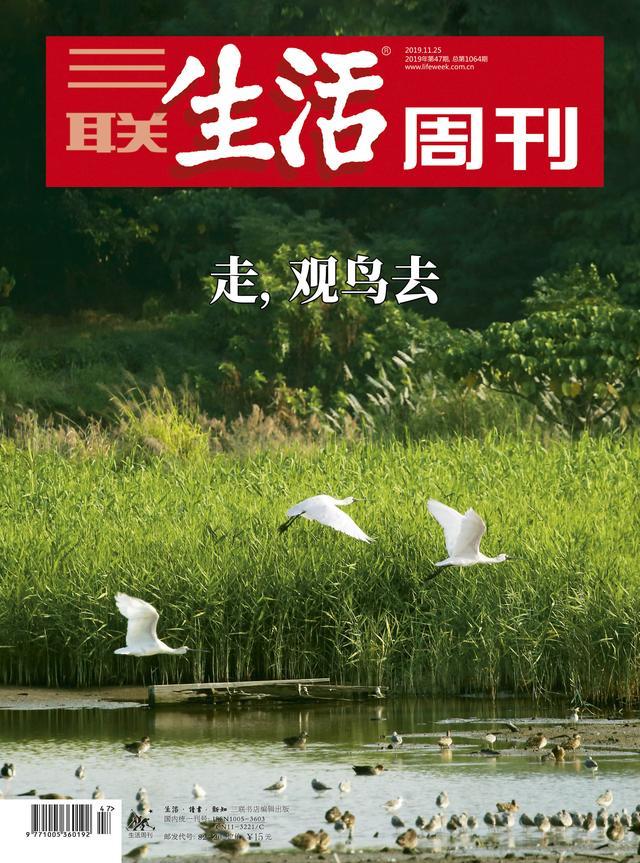 大杓鹬、小䴙䴘，白眉鹀、黑头䴓……为什么鸟的名字中有那么多生僻字？