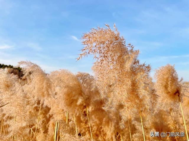 花样年轮，诗意岁月——12个月的芳名你都知道吗？