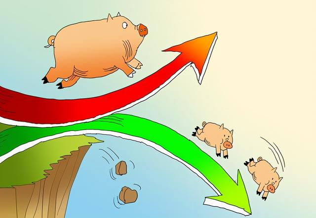 猪价跌跌不休，猪肉跌入“省心价”，6月猪价冲天上涨？2个坏消息