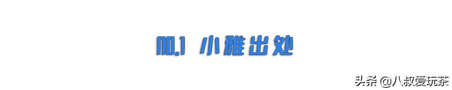 带您了解史上最全面的小雅！建议收藏