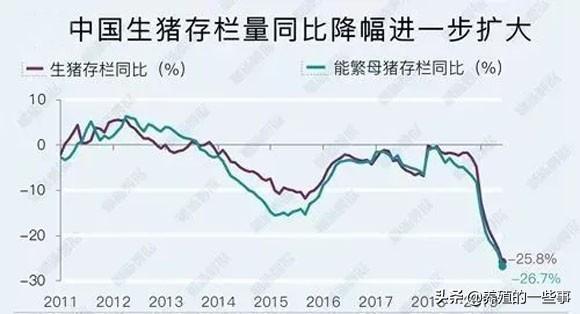 国内缺猪肉有多严重，“看完这些”你就懂了，全世界都难帮