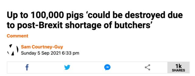 英国将焚毁10万活猪？英国人怒：没肉没奶，都快没饭吃了