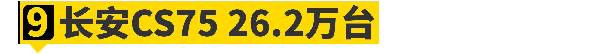 2020年，被中国人买爆的11台车都在这了