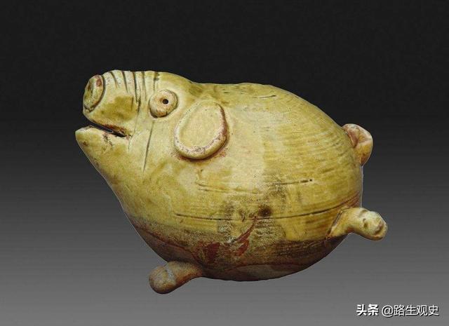 猪年：猪来自西方还是东方？中国最早的家养猪在河南，距今9000年