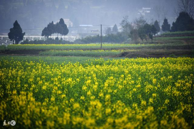 望乡：白云飘来了家乡的问候和回想，岁月斑驳痕迹却改变不了乡音