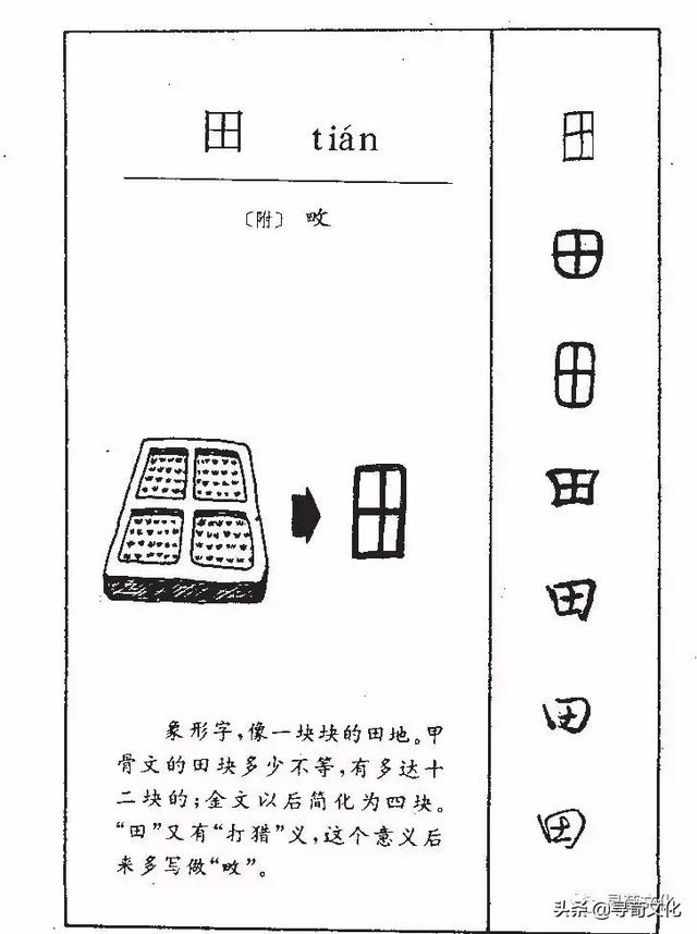 田姓氏的汉字演变和家族来源过程荀卿庠整理