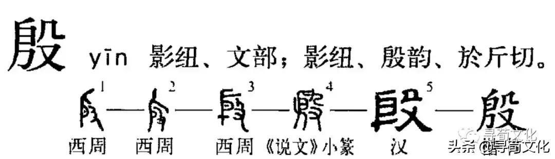 殷-汉字的艺术与中华姓氏文化荀卿庠整理