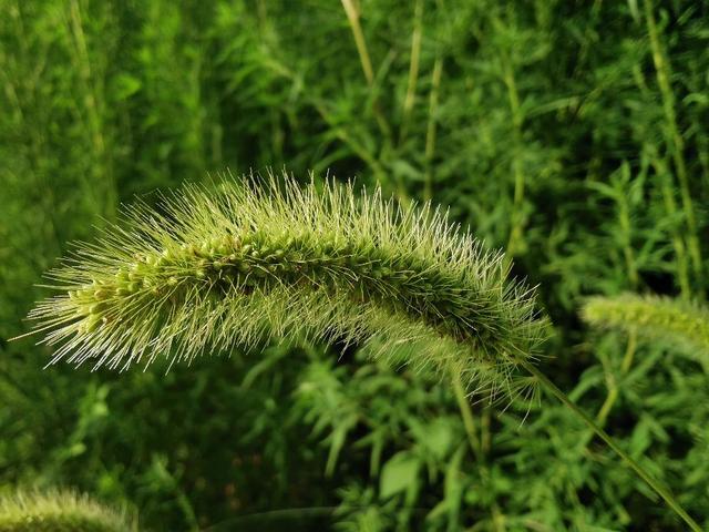 散文丨熊红久：时间的细节