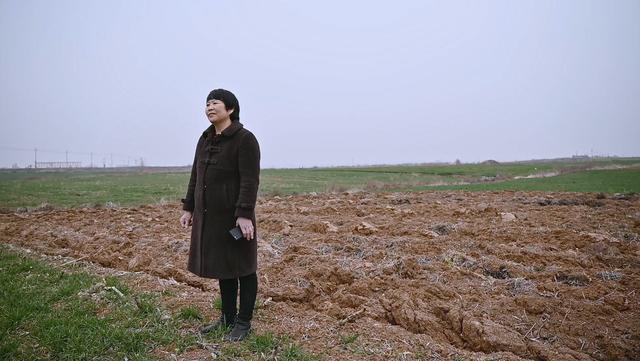 田埂上写诗的农妇韩仕梅，策划一场“离婚逃跑计划”