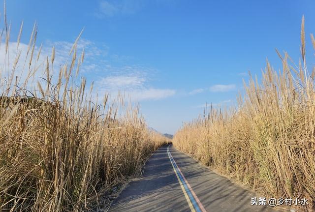 天气预报：老人说“大寒宜冷不宜晴”，大寒时节天气暖和不好吗？