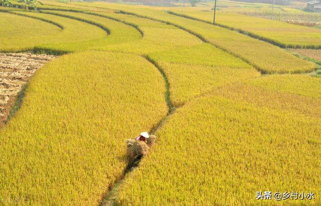 天气预报：老人说“大寒宜冷不宜晴”，大寒时节天气暖和不好吗？