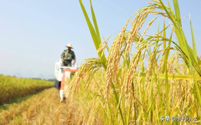 天气预报：老人说“大寒宜冷不宜晴”，大寒时节天气暖和不好吗？