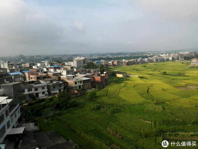 中国名鸡大赏，一文科普名鸡常识&买鸡技巧，建议收藏