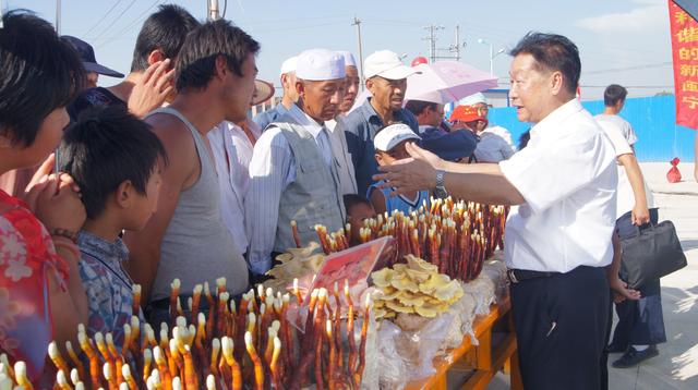 “菌草之父”林占熺：扶贫援外，“幸福草”助农户脱贫