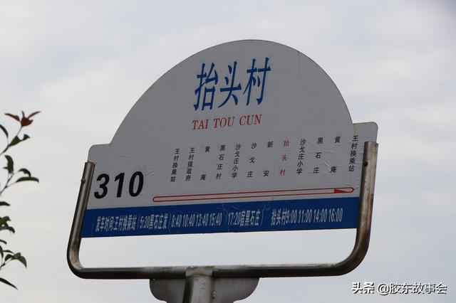 青岛即墨这个村的名字很有特点，叫做“抬头”，在田横镇境内
