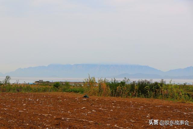 青岛即墨这个村的名字很有特点，叫做“抬头”，在田横镇境内