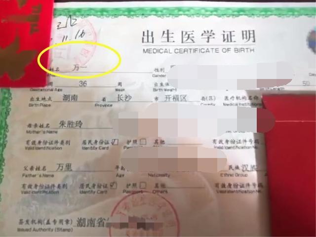 “艾”姓爸爸给儿子起名很霸气，却忘记谐音，娃上幼儿园后被气哭