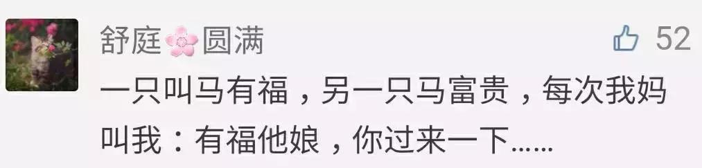 一般每只宠物都有一个洋气的名字和一个土爆了的名字……你家的是？