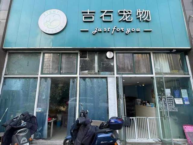 店面租约快到期，纠结要不要继续，杭州宠物店老板孙磊：不管多难都想留住这家店