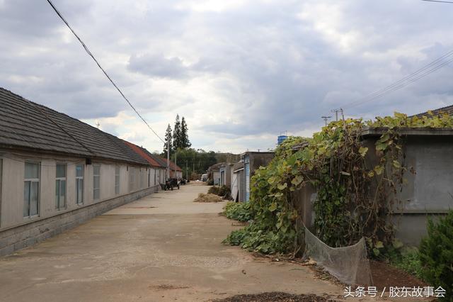 组图：威海文登这个村庄，相传在唐朝时就已经建立