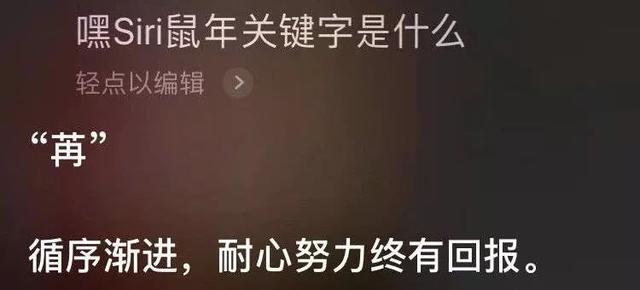 在线算命云测字…厉害了我的Siri