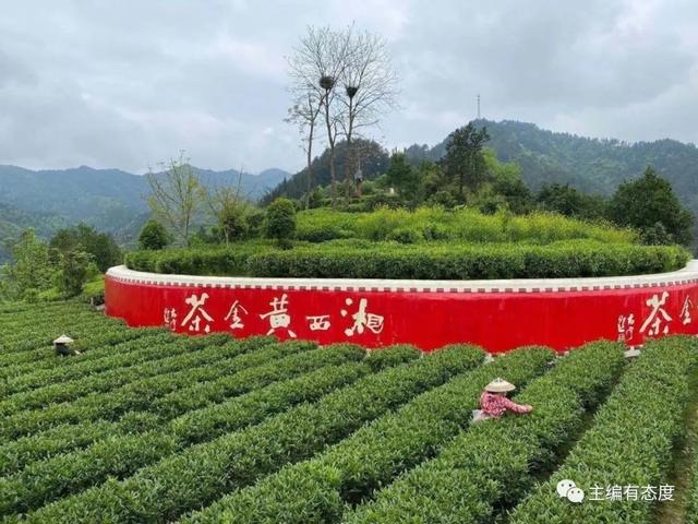 被湖南省委书记许达哲抱在怀中的小女孩“思恩”，背后是一段关于改变的故事