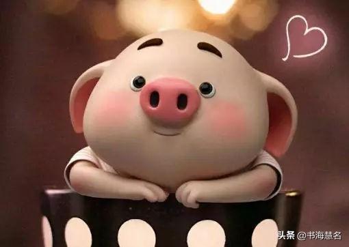 2019猪宝宝取名：附男宝、女宝、乳名攻略