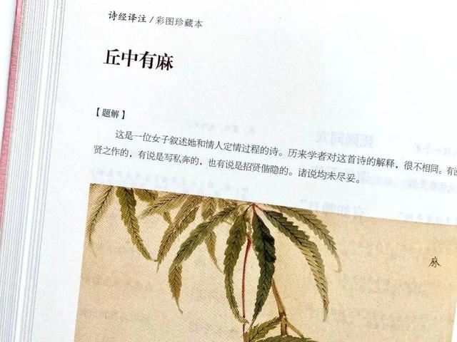 好书·推荐｜从未被超越的国产神作，每个中国人都应该读一读