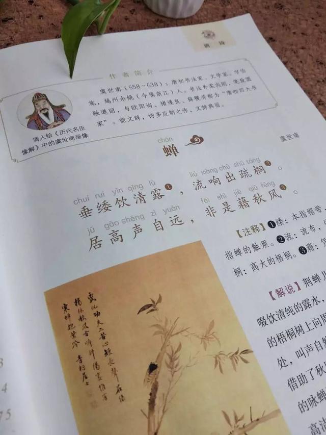 用诗词喂大的孩子，人生必定不会平凡