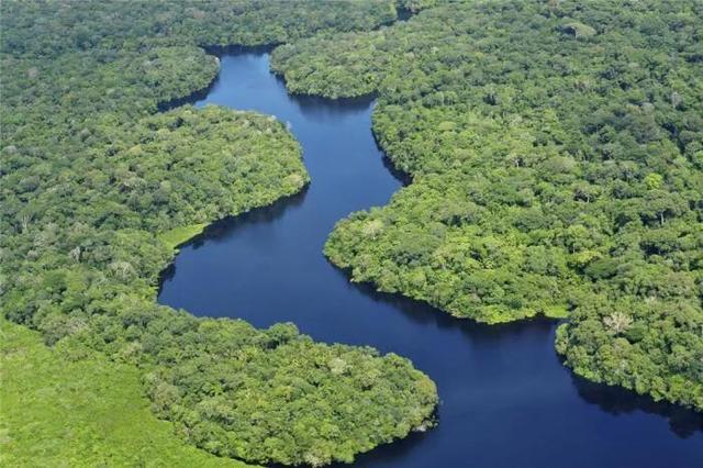亚马逊河流内部有什么？为何当地人难以靠近，莫非藏着水怪？