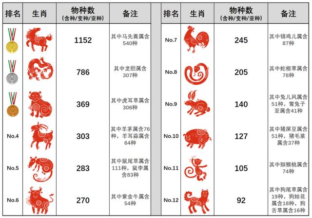 心有萌虎，细品草木丨笺草释木丨大年初一