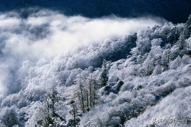 皇甫谧：一代浪子到针灸大师，你知道他经历了什么吗？