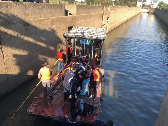 杭州南苕溪内“迷路”江豚被救上岸，运输过程中出现应激反应死亡