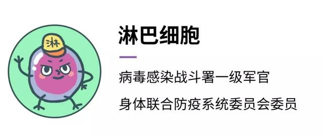 宝宝发烧，血常规结果说明了啥？看懂这 3 项就够了