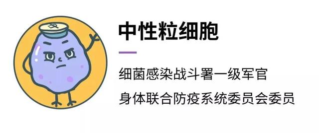 宝宝发烧，血常规结果说明了啥？看懂这 3 项就够了