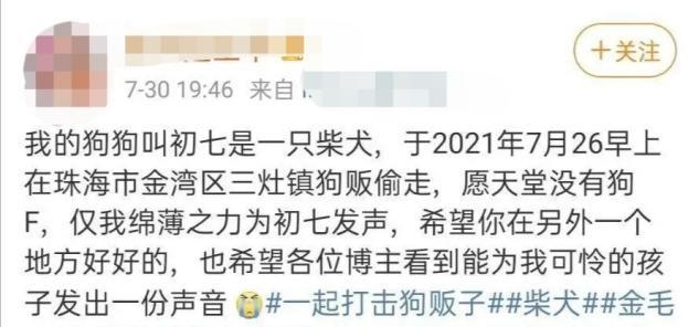 42岁曹格被狗咬伤，地上大片血迹惹人忧，网友却在嘲讽另一女星？